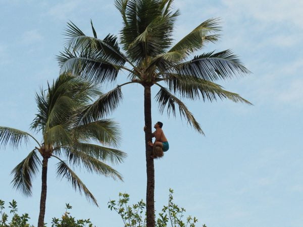 Auf der Suche nach dem Aloha – Teil I