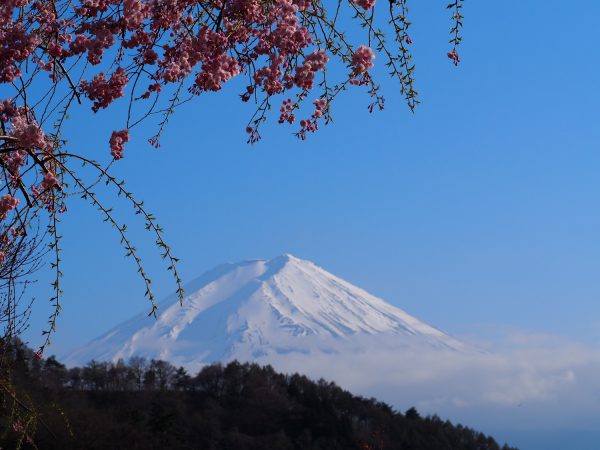 Kühle Berge unter warmer Sonne – Japan II