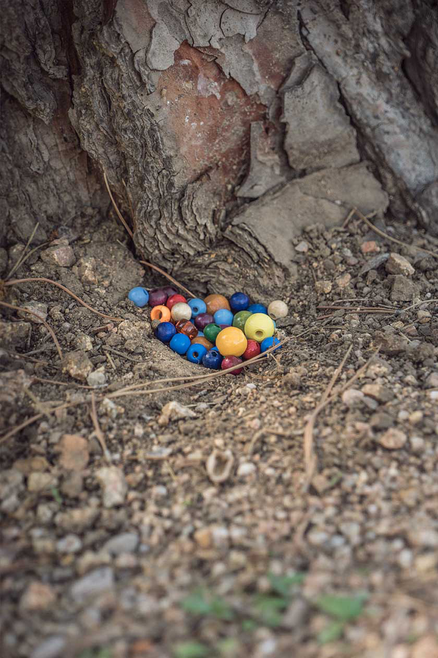 LIFE-for-FIVE-Sardinien-mit-Kindern-Bunte Perlen an einem Baumstamm.