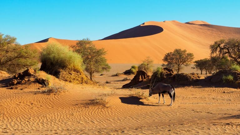 Von Windhoek ins Sossusvlei