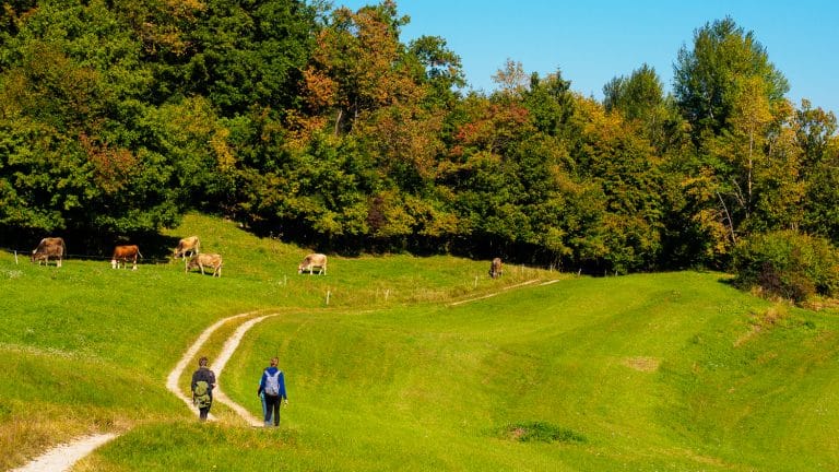 Wandern im Grünen Karst