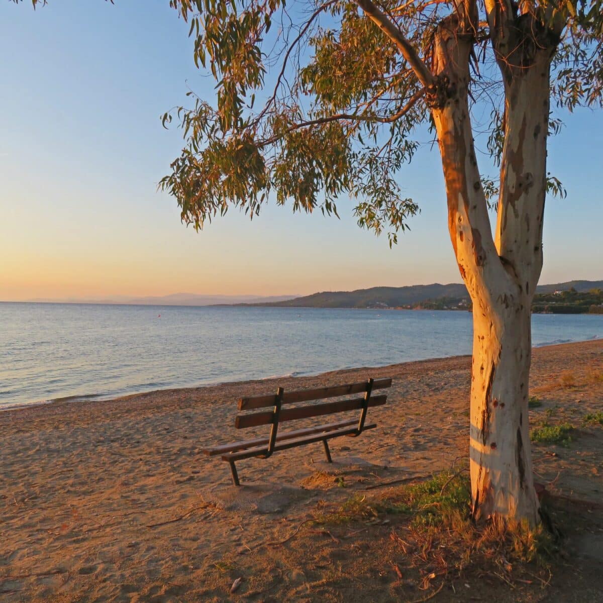 Allein auf der Chalkidiki-Halbinsel