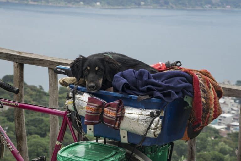 Mit Hund und Fahrrädern von Guatemala nach Mexiko