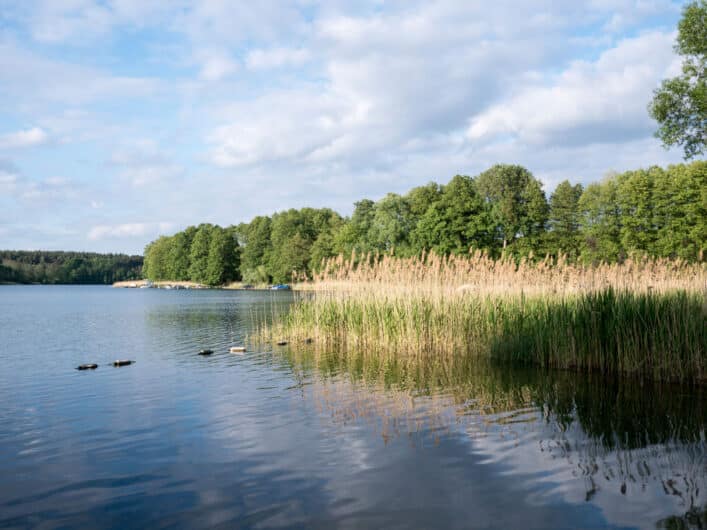 Am Ellbogensee