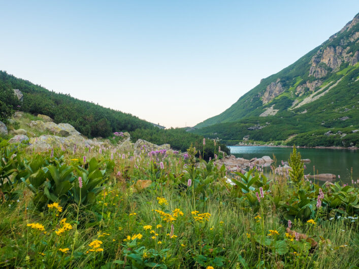 Velické pleso