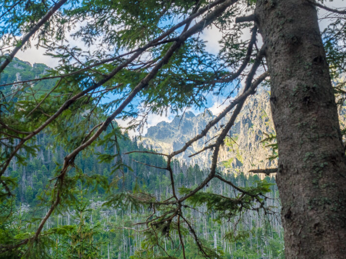 Ausblick vom Kühlbachtal