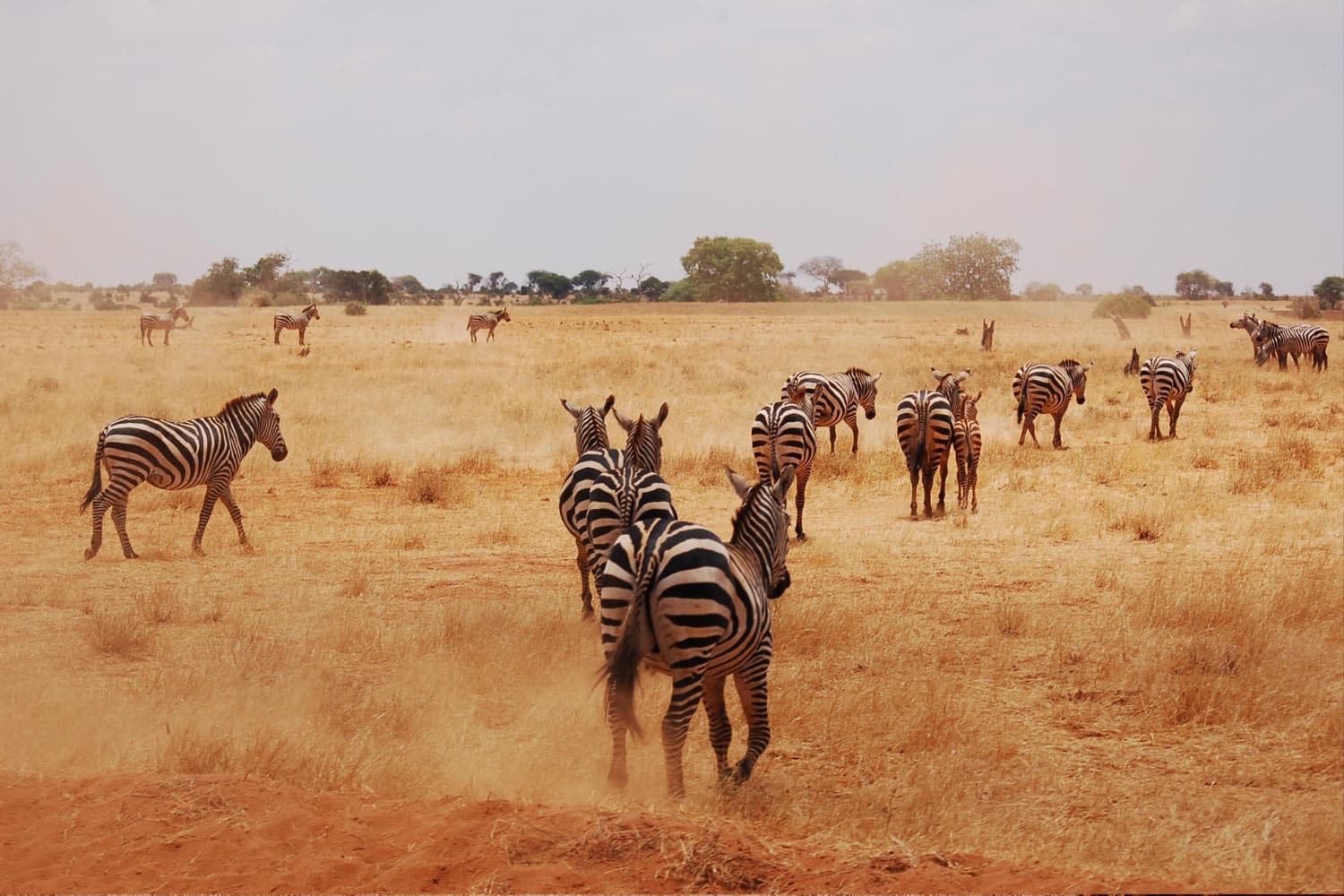 Rundreise durch Kenia