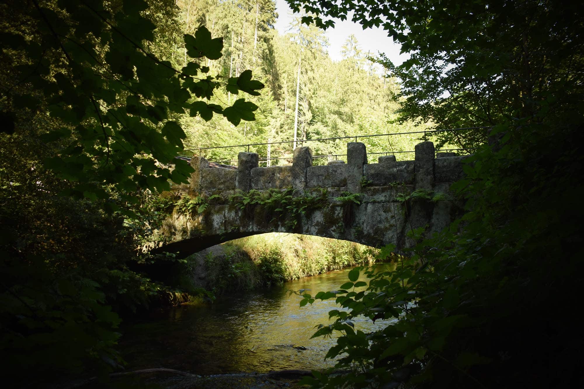 Grün, grün, grün sind alle Wanderrouten