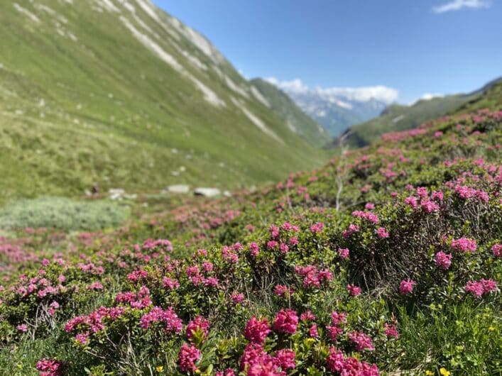 Naturschutz im Urlaub mit BUND-Reisen