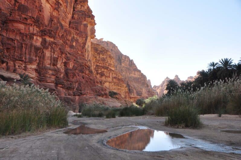 Wadi al Disah in Saudi-Arabien: Unterwegs im Tal der Palmen