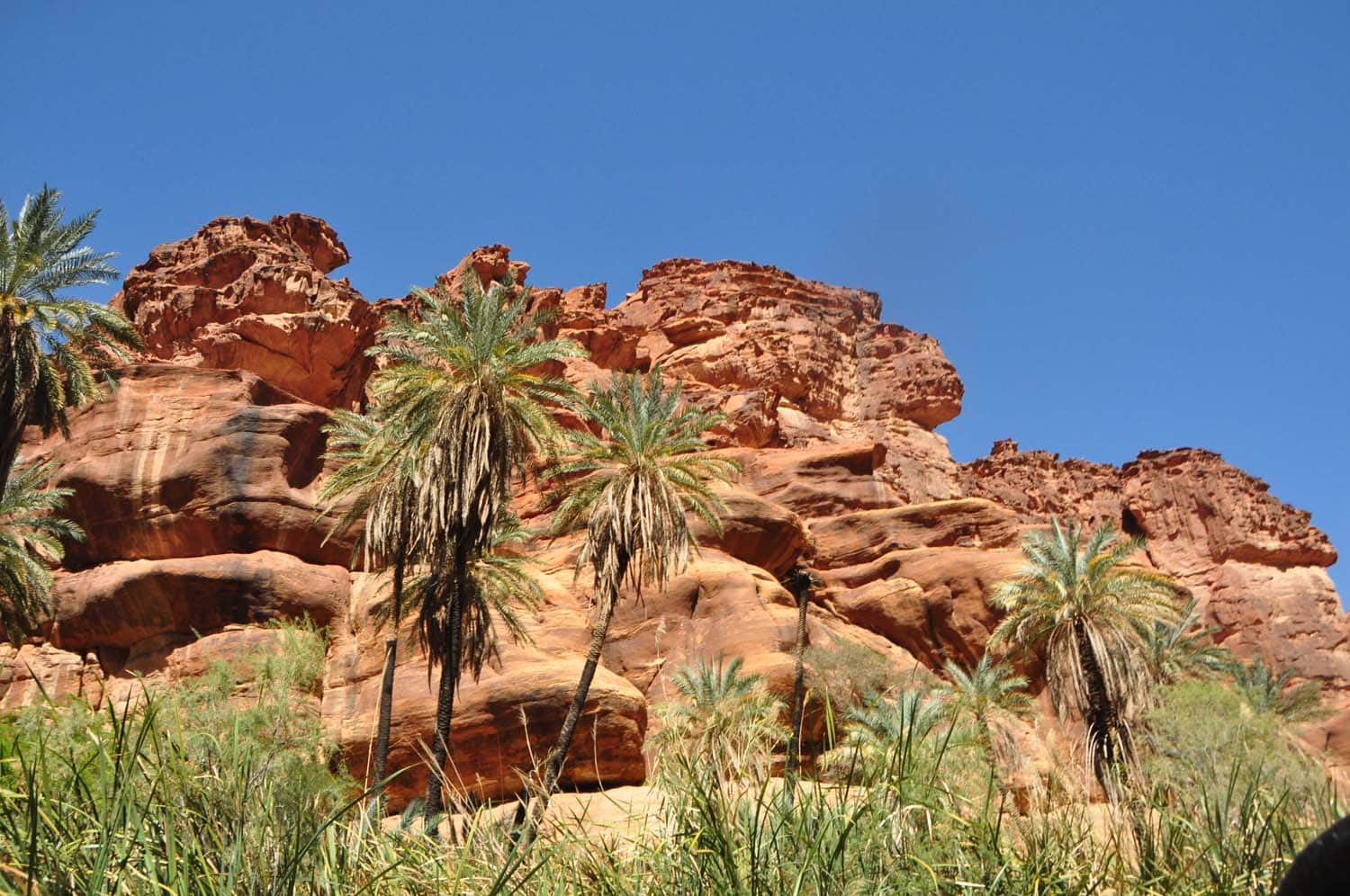 Wadi al Disah