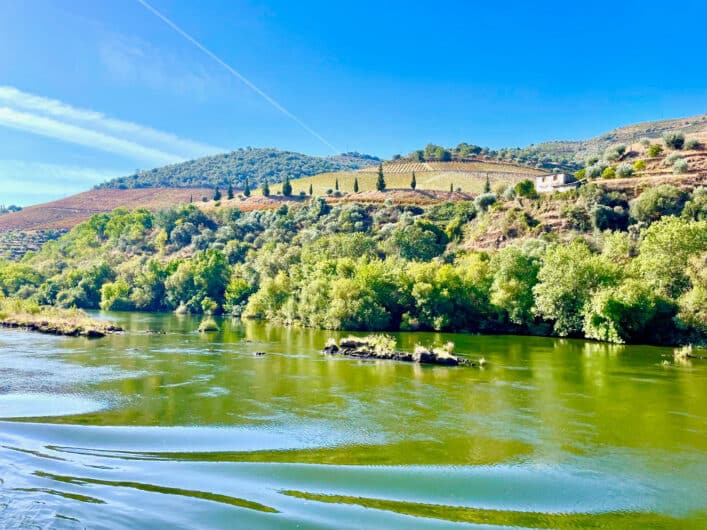 Flusskreuzfahrt durch das Douro-Tal – Genuss für Geist und Gaumen