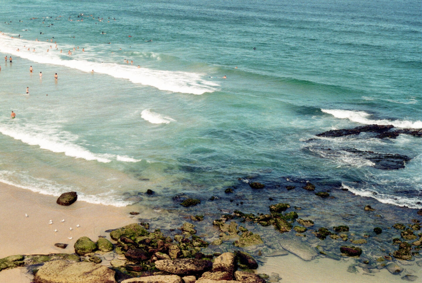 Bondi Beach