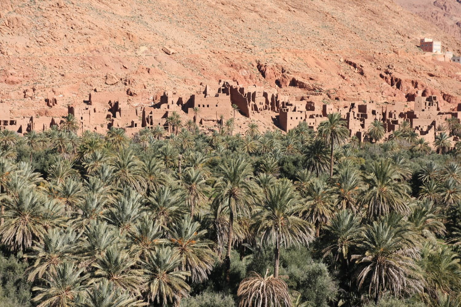 Ouarzazate und die Oase Fint: Marokkanische Filmgeschichte zum Anfassen