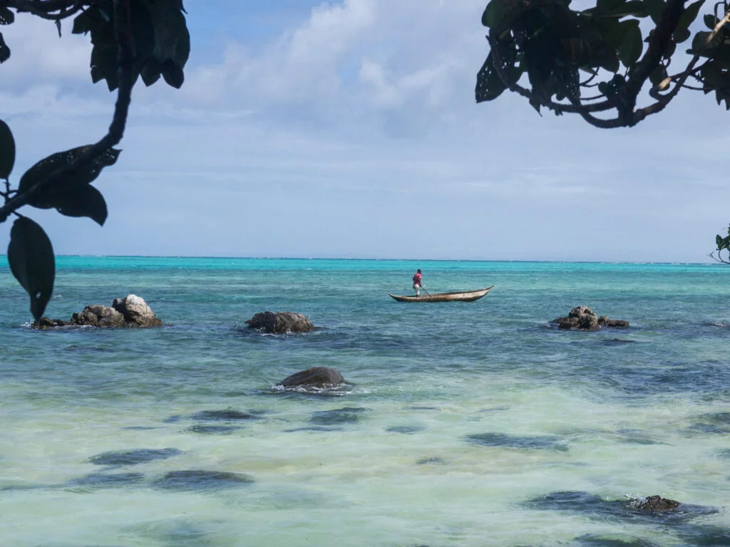 Buch über Madagaskar: Der Ruf der Lemure