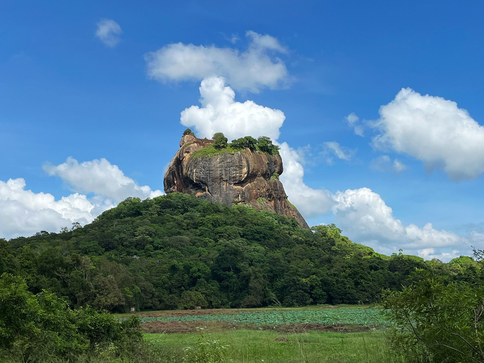 Im Grünen Paradies – eine erlebnisreiche Rundreise durch Sri Lanka