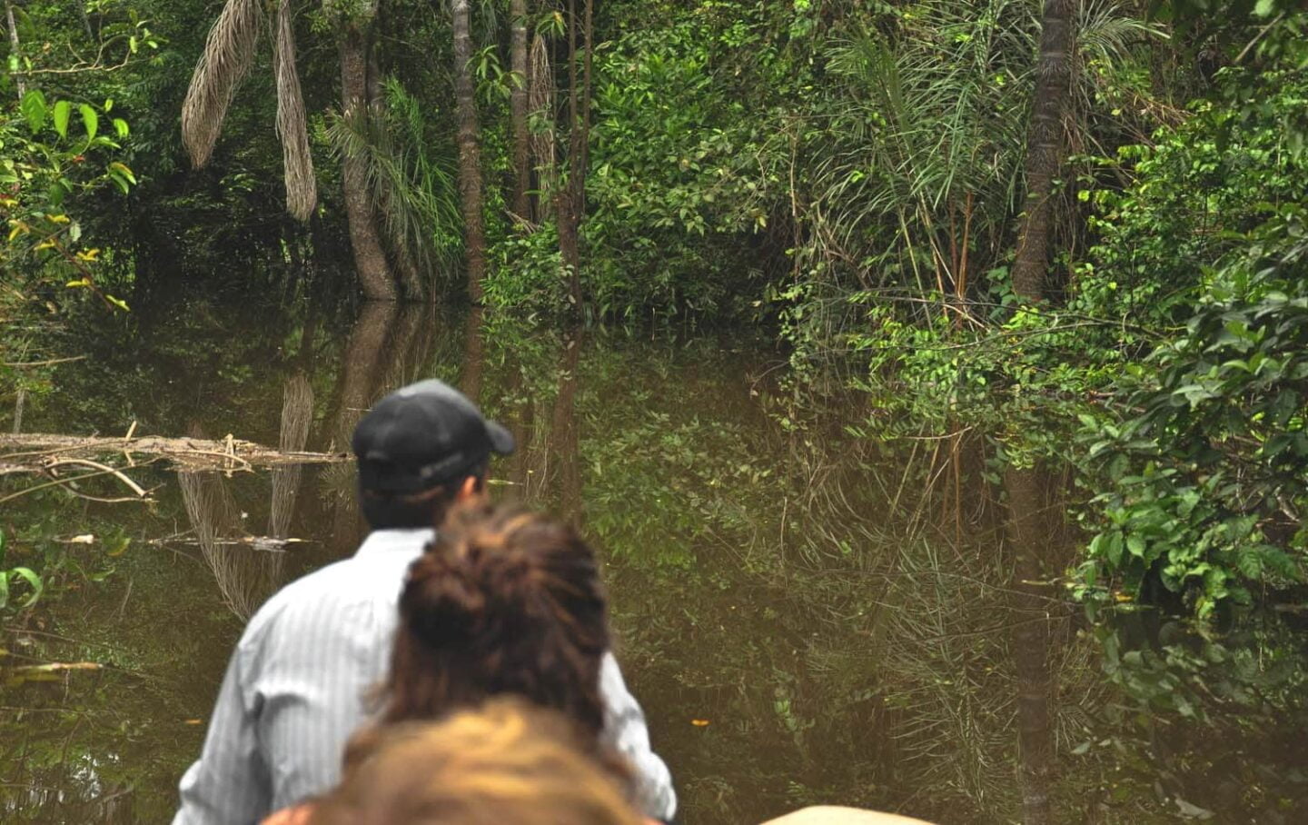 Amazonas-Regenwald Peru