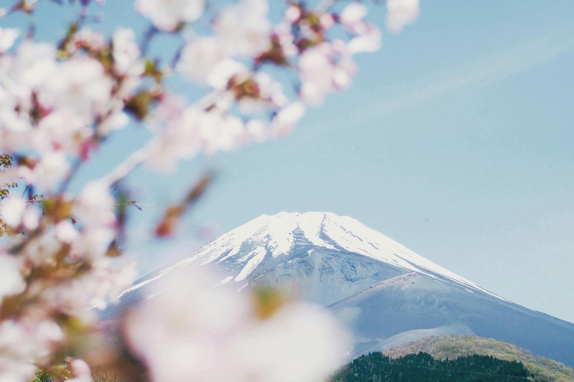 Ein Traum wird wahr: Unsere Japanreise