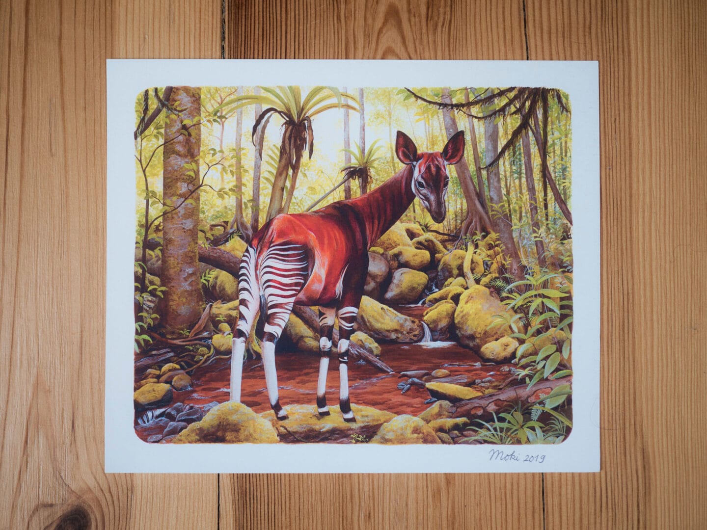 Okapi von Moki