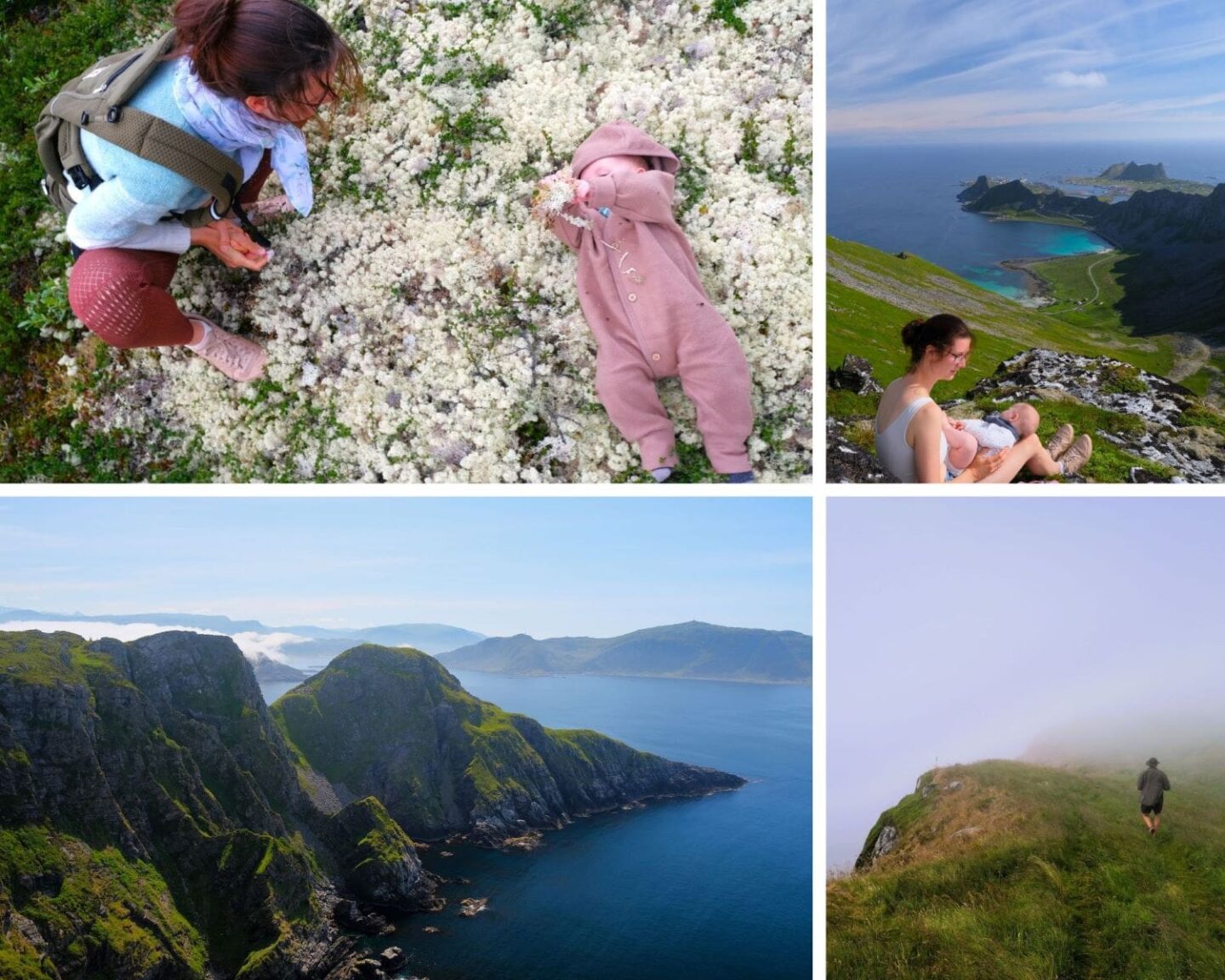 Natur genießen und wandern in Norwegen - Amaruq Adventures