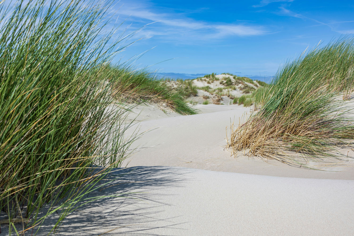 Inselwind und Alltagspause: Fährfahrt nach Norderney