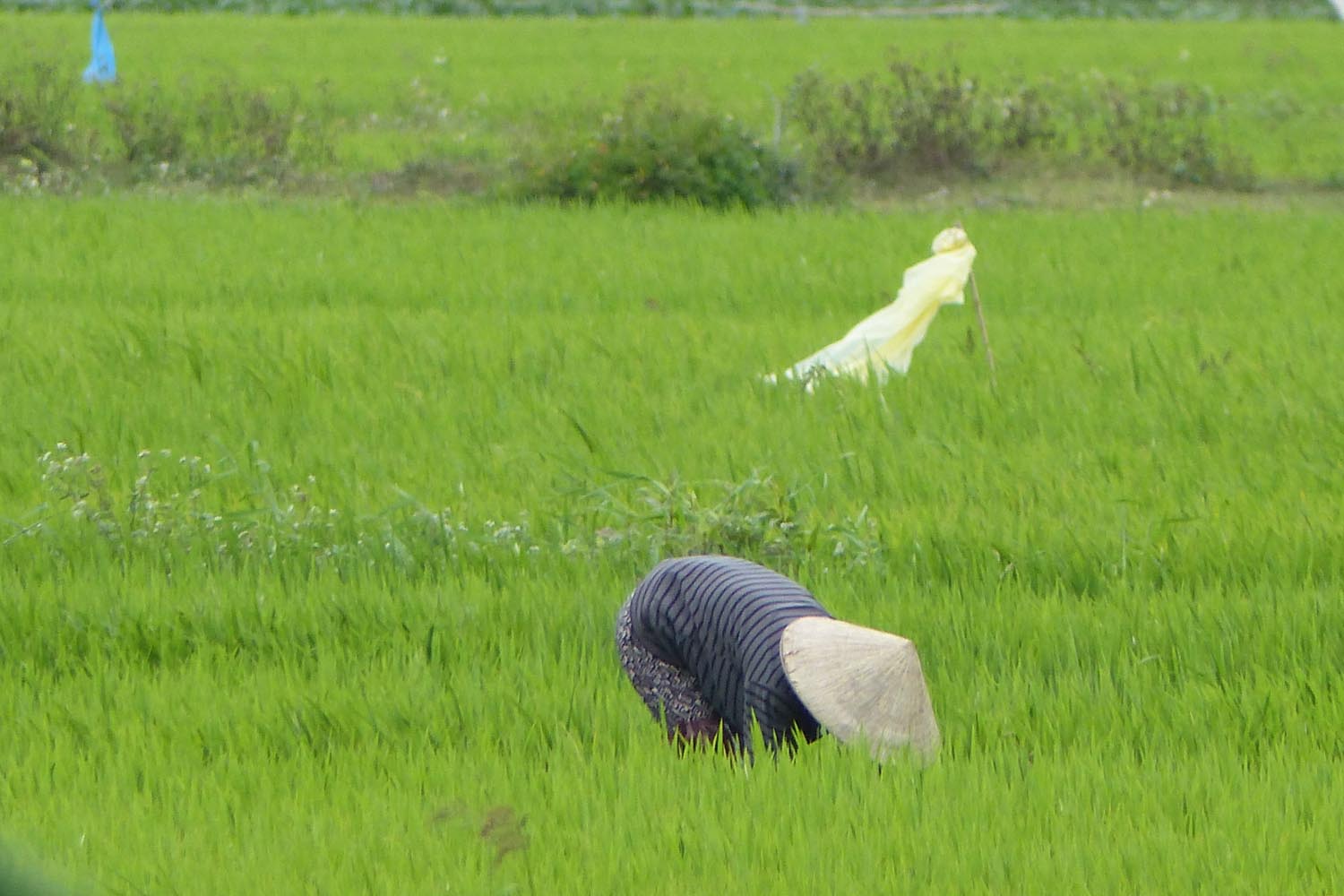 Abenteuer Vietnam – eine Rucksackreise von Nord nach Süd